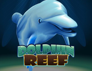 ninegames_dolphin_reef 188金宝博娱乐海豚乐园